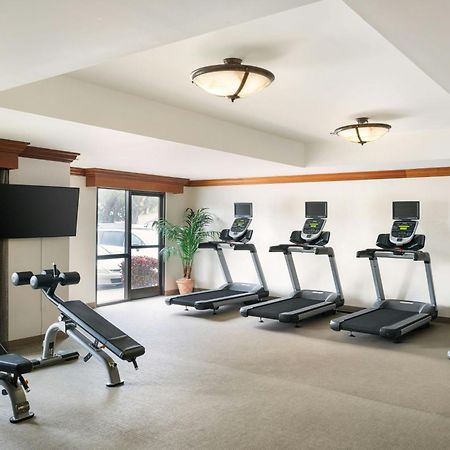 Springhill Suites By Marriott Tampa Westshore Buitenkant foto